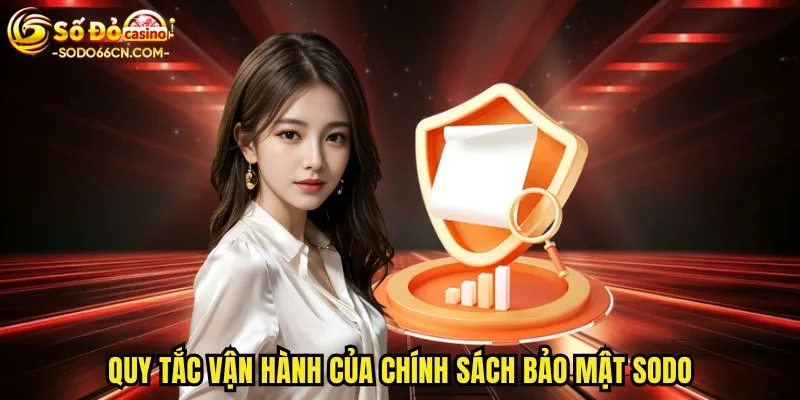Quy tắc vận hành của chính sách bảo mật SODO