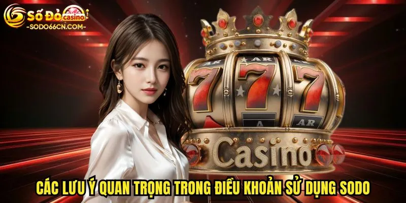 Các lưu ý quan trọng trong điều khoản sử dụng SODO